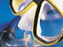 Ultimate Snorkeling Adventure